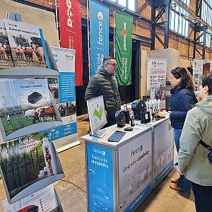 Pastuchy fencee na festiwalu Ostrava Wool Fest 2026