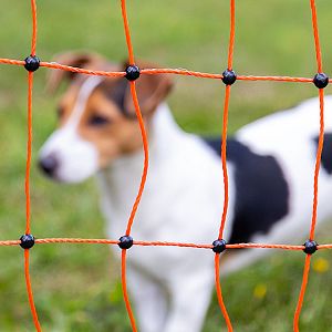 Podstawowe informacje o ogrodzeniu elektrycznym