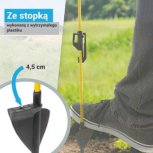 Polityka plików cookie