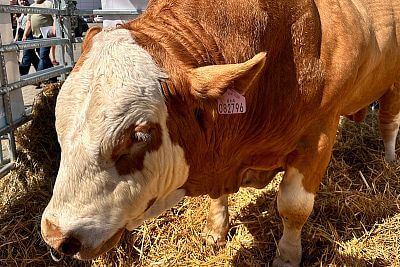 Prestiżowa nagroda GRAND PRIX na TECHAGRO