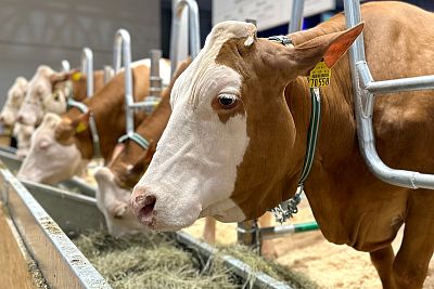 Prezentacja innowacyjnych produktów na targach EuroTier 2024