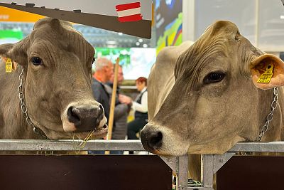 Prezentacja innowacyjnych produktów na targach EuroTier 2024