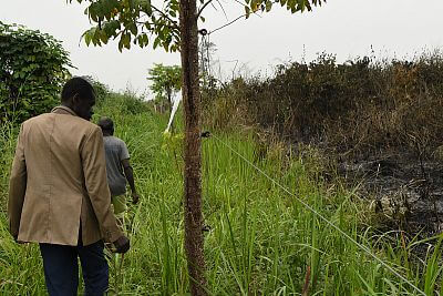 Projekt elektrycznej bariery dla słoni z ogrodzeniem w Afryce