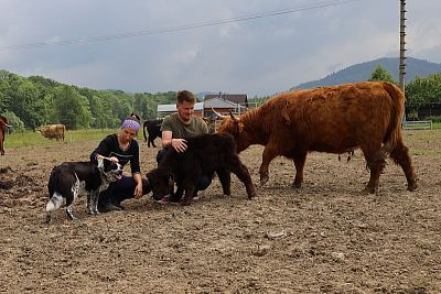 Smart Farm fencee Cloud u podnóża Beskidów na farmie u rodziny Vels