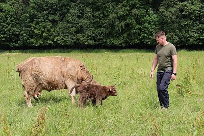 Smart Farm fencee Cloud u podnóża Beskidów na farmie u rodziny Vels