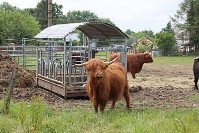 Smart Farm fencee Cloud u podnóża Beskidów na farmie u rodziny Vels