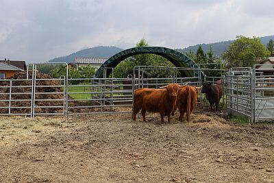 Smart Farm fencee Cloud u podnóża Beskidów na farmie u rodziny Vels