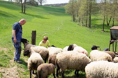 Smart Farm z aplikacją fencee Cloud na farmie owiec Petrlák