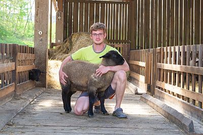 Smart Farm z aplikacją fencee Cloud na farmie owiec Petrlák