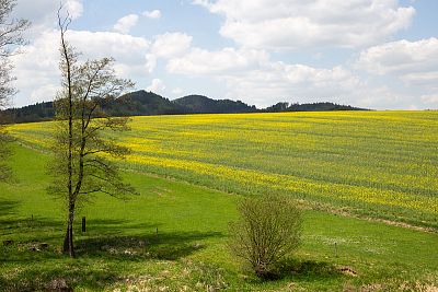 Smart Farm z aplikacją fencee Cloud na farmie owiec Petrlák