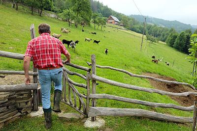Naprawdę niesamowity pomocnik Pana Cieślara - Smart Farm