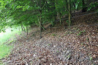 Naprawdę niesamowity pomocnik Pana Cieślara - Smart Farm