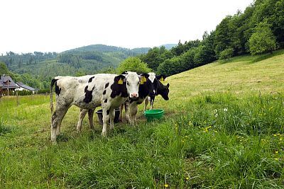 Naprawdę niesamowity pomocnik Pana Cieślara - Smart Farm