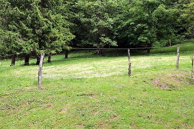 Naprawdę niesamowity pomocnik Pana Cieślara - Smart Farm