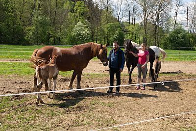 Smart Farm fencee sprawia, że codzienne życie w Coldriver Ranch jest przyjemniejsze