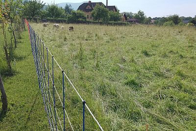 Sześć elektrycznych ogrodzeń dla owiec o długości 300 m