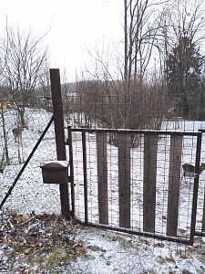 Ucieczka daniela rozwiązana

Pavel Leibner
