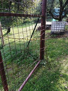 Ucieczka daniela rozwiązana

Pavel Leibner
