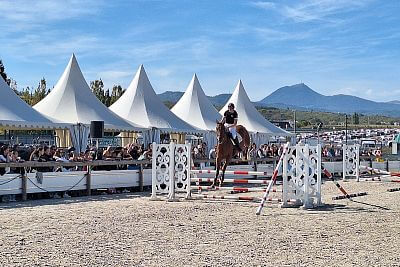 Udział w Sommet de l'Elevage 2023