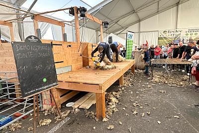 Udział w Sommet de l'Elevage 2023