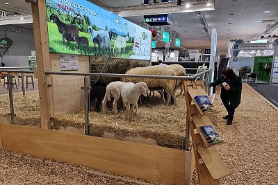 Udział w światowych targach EuroTier 2022