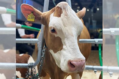 Udział w światowych targach EuroTier 2022