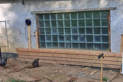 Umieszczone w ogrodzie - elektryzator dla elektryczny pastuch fencee power P40