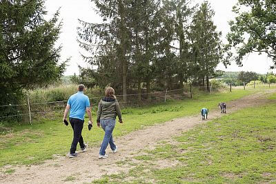 Uruchomienie systemu Smart Farm na ranczu Zdeňki Pohlreich