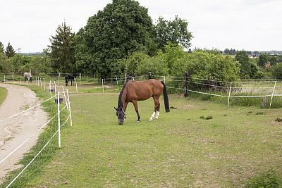 Uruchomienie systemu Smart Farm na ranczu Zdeňki Pohlreich