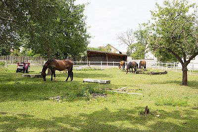 Uruchomienie systemu Smart Farm na ranczu Zdeňki Pohlreich
