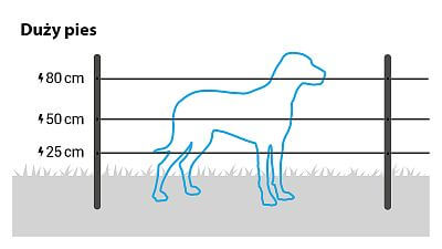W przypadku dużych psów należy zainstalować 3 przewody na wysokości 25, 50 i 80 cm. Alternatywnie można również użyć siatki ogrodzenia elektrycznego dla psów.