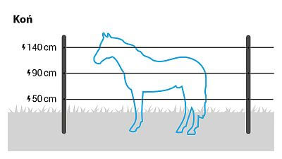 W przypadku koni wysokich ras zalecamy zamontowanie 3 taśm na wysokości 50, 90 i 140 cm. W przypadku mniejszych ras należy zamontować 3 taśmy na wysokości około 45, 75 i 120 cm.