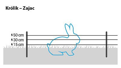 W przypadku królików i zajęcy należy zainstalować 3 przewody na wysokości 15, 30 i 50 cm. W razie potrzeby można również skorzystać z naszej siatki ogrodzenia elektrycznego dla królików.