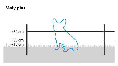 W przypadku małych psów należy zainstalować 3 przewody na wysokości 10, 25 i 50 cm.