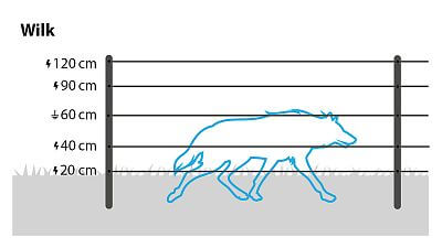 W przypadku wilków należy zainstalować co najmniej pięć rzędów przewodników na wysokościach 20 cm, 40 cm, 60 cm, 90 cm i 120 cm lub skorzystać z kompletnego zestawu przeciw wilkom.