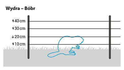 W przypadku wydr/bobrów należy zainstalować 4 rzędy przewodów na wysokościach 10 cm, 20 cm, 30 cm i 40 cm lub użyć gotowego zestawu dla wydr/bobrów.
