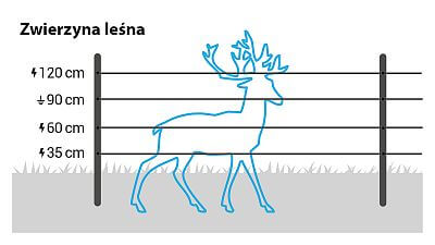 W przypadku zwierząt należy zainstalować 4 przewody na wysokościach 35, 60, 90 i 120 cm.
