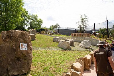 Smart Farm w Zoo Zlín III.: Kontynuacja udanej współpracy - Jaguar Trek