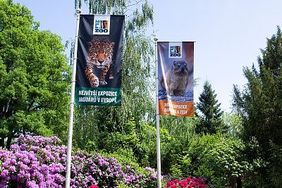 Smart Farm w Zoo Zlín III.: Kontynuacja udanej współpracy - Jaguar Trek