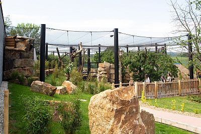 Smart Farm w Zoo Zlín III.: Kontynuacja udanej współpracy - Jaguar Trek
