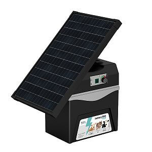 Zasady publikowania recenzji