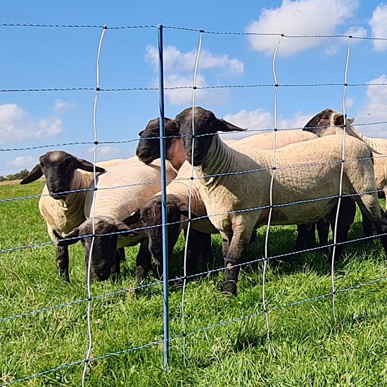 Niebieska elektryczna siatka ogrodzeniowa przeciw wilkom, wysokość 122 cm, długość 50 m, podwójna końcówka
