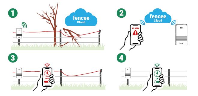 Jak działa LTE Monitor?