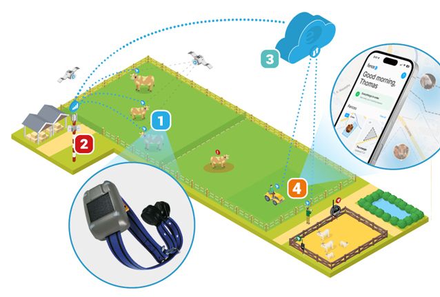 Inteligentne śledzenie zwierząt