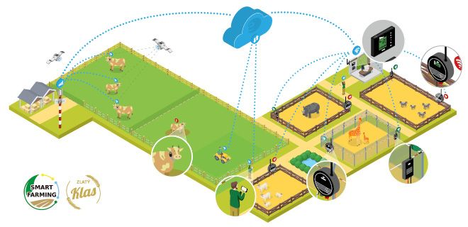 Nowoczesna inteligentna farma pod kontrolą