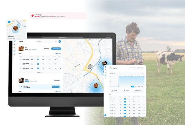 Aplikacja mobilna Clear