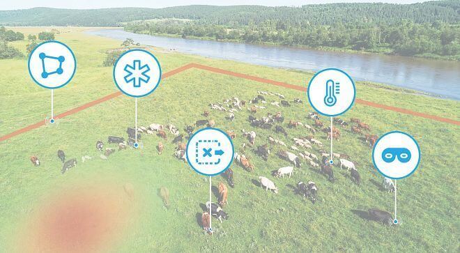 Weterynarz i rolnik w jednym